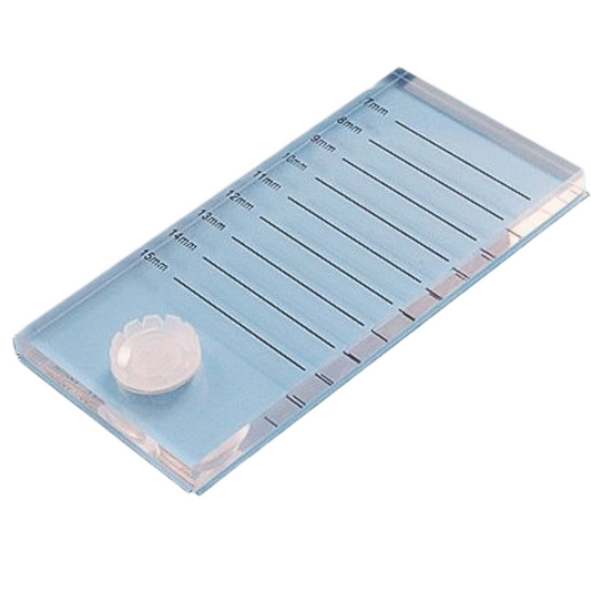 Palette pour Cils Transparente